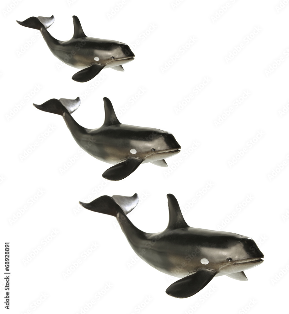 Obraz premium Toy Whales