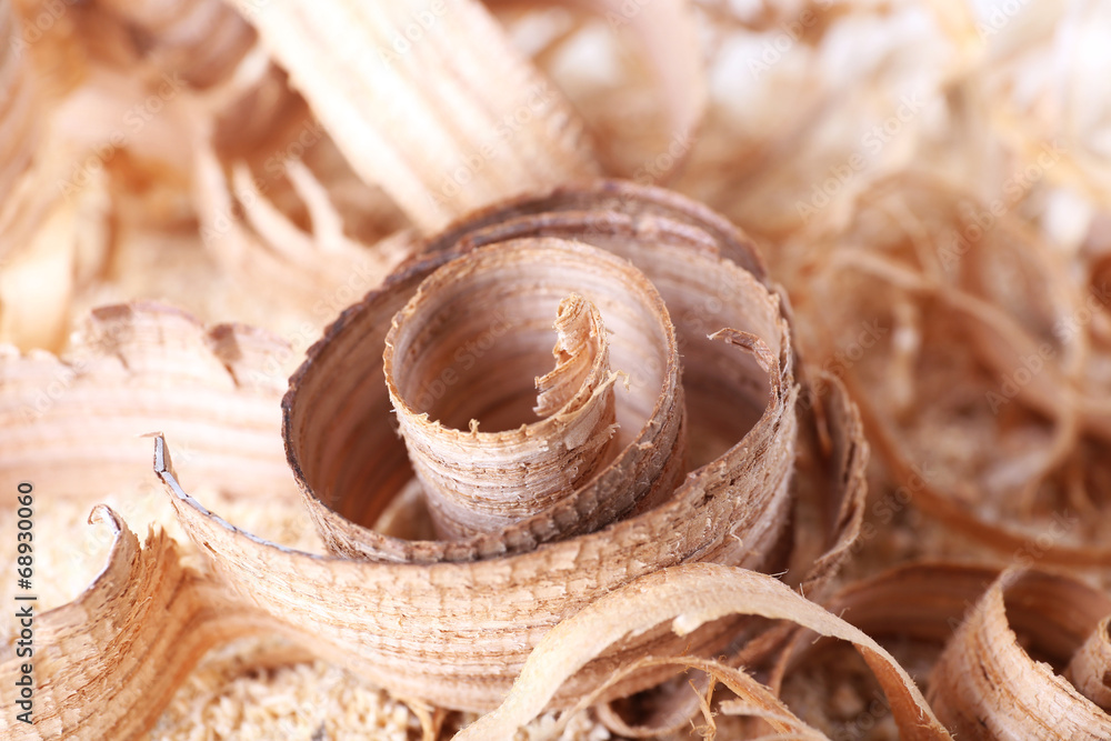 Wood shavings on sawdust closeup Wood shavings on sawdust closeup