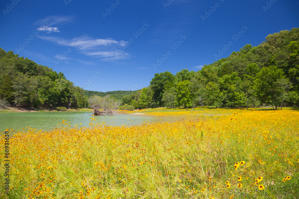 Fototapeta premium Panther Creek State Park