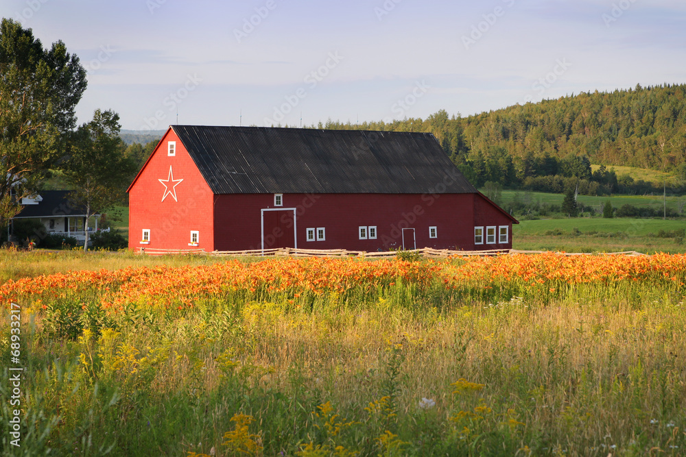 Obraz premium Barn in New Brunswick