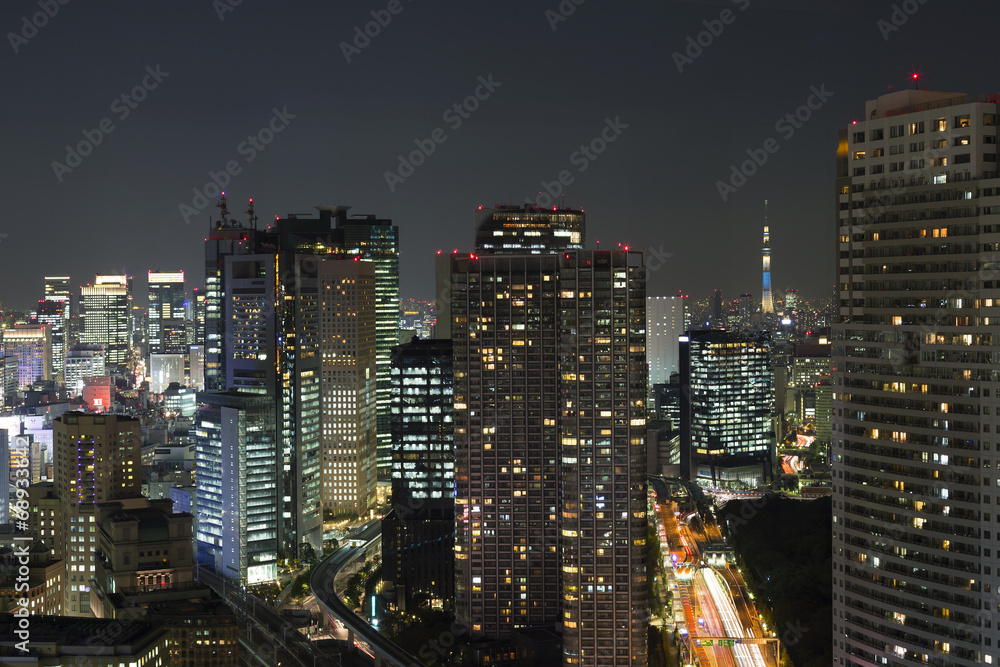 ［東京都市風景］　汐留・丸の内の高層ビル街と東京スカイツリー-555