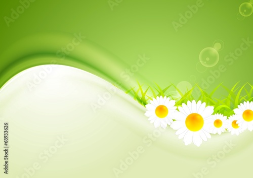 Modern bright summer background. Vector camomiles