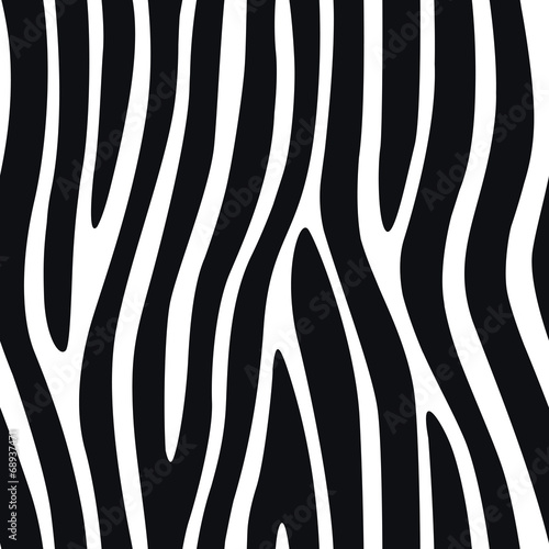 Zebra Stripes Seamless Pattern 4