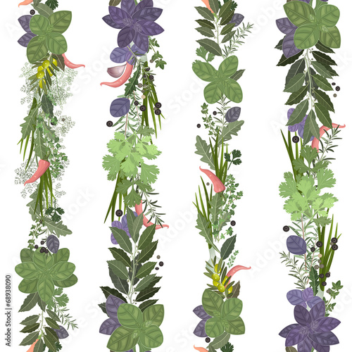seamless border of collection herbs and spices
