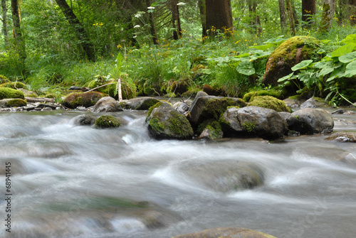 Torrent de la Dranse à Morzine
