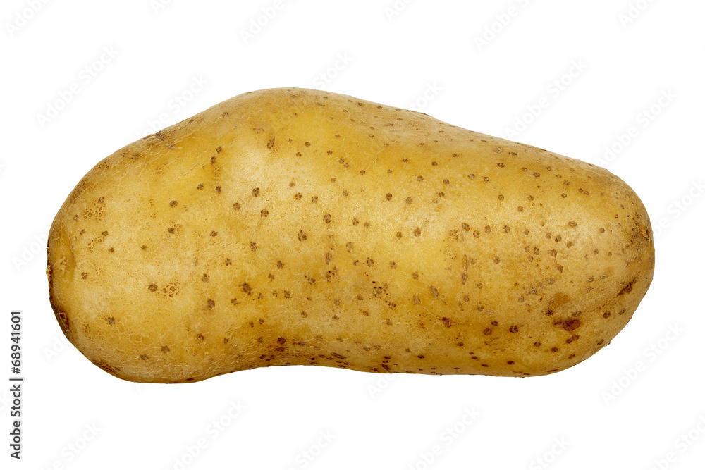 potato potato