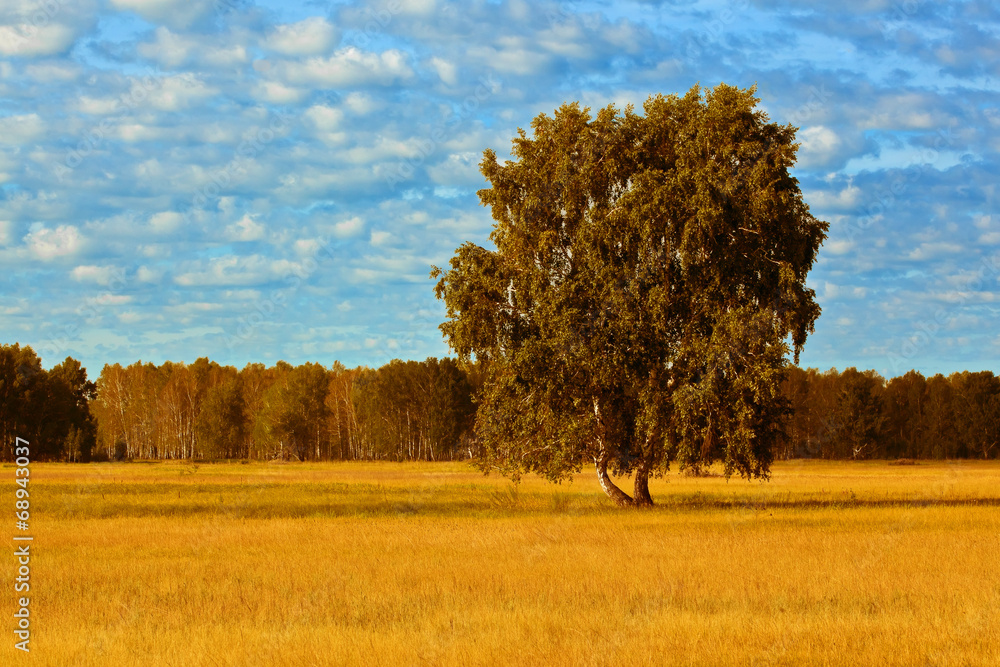 Fototapeta premium Landscape in red tones