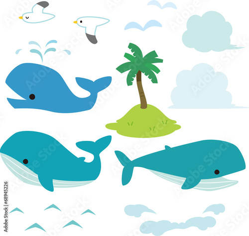 クジラと海
