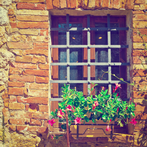 Window