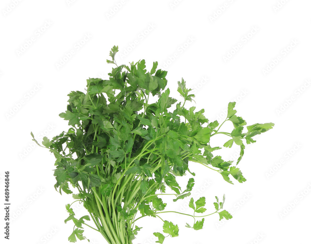 Bunch of parsley on a white.