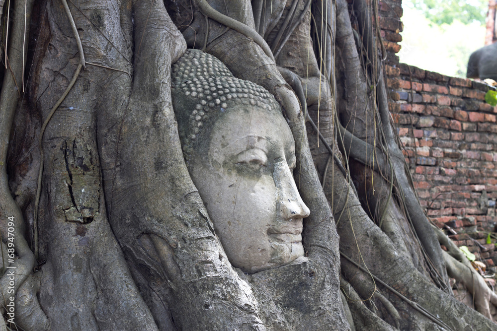 Buddha Statue Head in Banyan Tree, Thailand