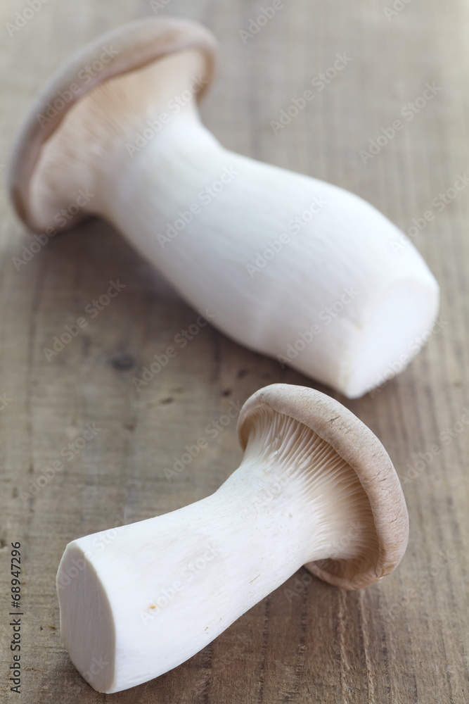Close - up Boletus mushroom brown wooden background Close - up Boletus mushroom brown wooden background
