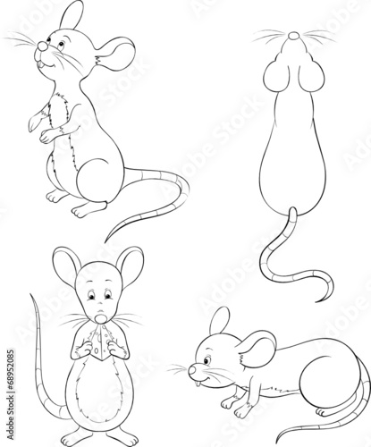 Mäuse Ratten Set Sammlung Kollektion