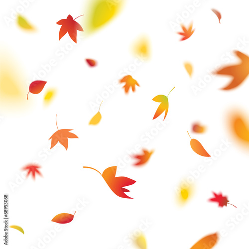 autumn leaves falling, vector illustration