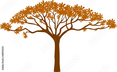 tropischer baum