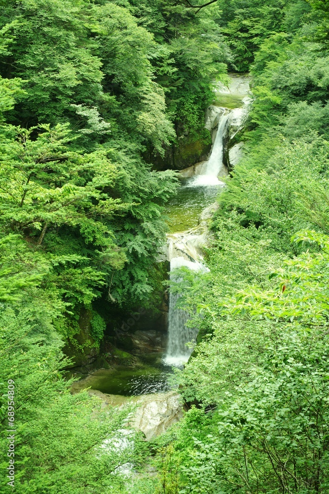 神蛇滝 神蛇滝
