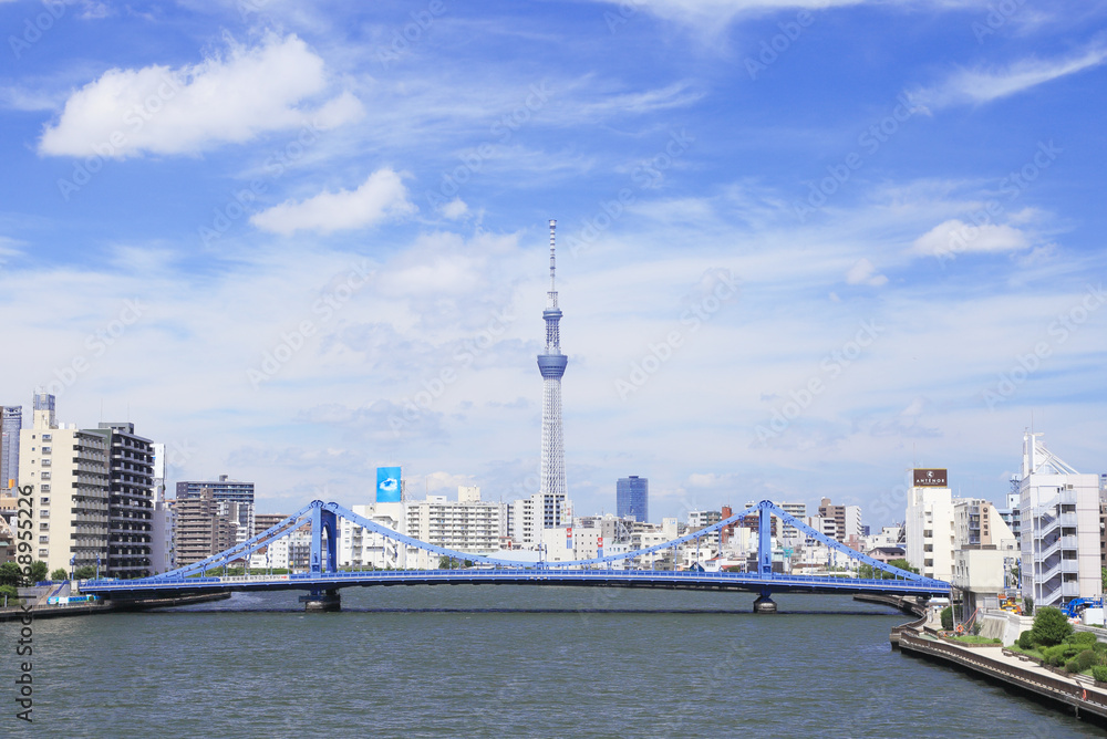 Obraz premium スカイツリーと清洲橋