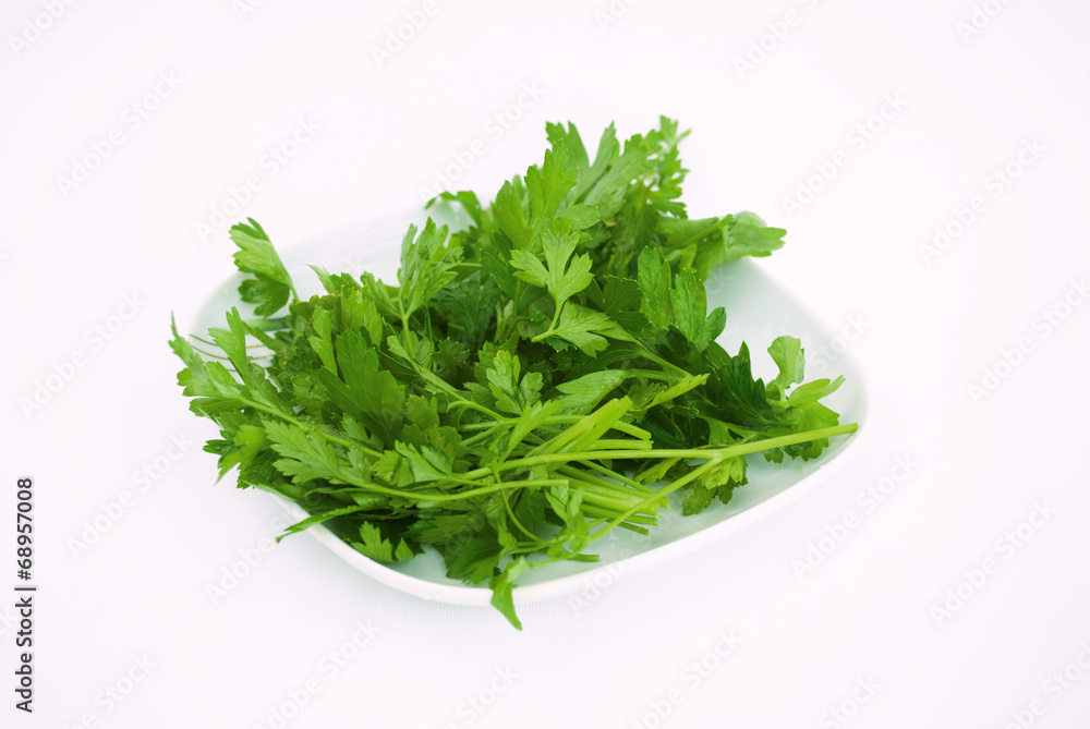Green organic Parsley