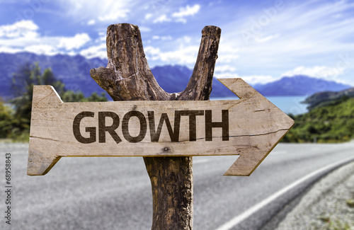 Growth wooden sign with a street background