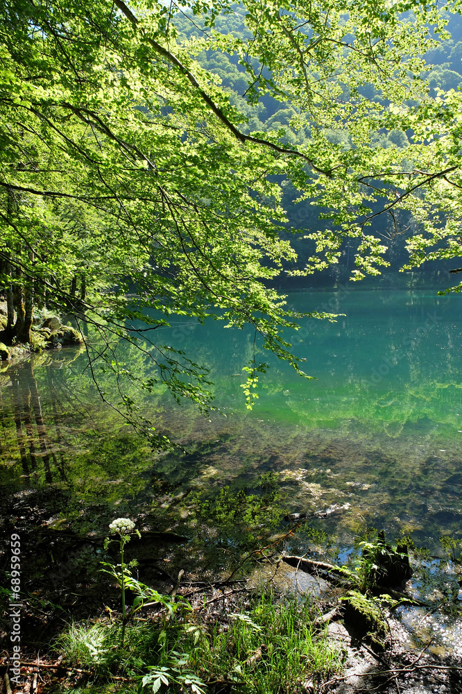 Fototapeta premium Lac de Bethmale, Couserans, Ariège