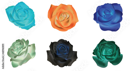 Six dull rose icons collection set (vector)