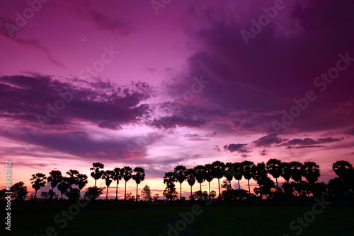 silhouette sunset © lukchai