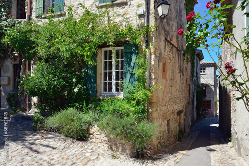 Vaison la Romaine, Provence © Oleg Znamenskiy