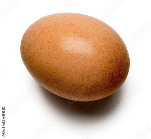 Brown Egg on White