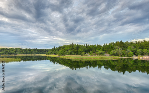 Forest and cloud reflection...