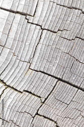 Close - up natural white wood texture and background