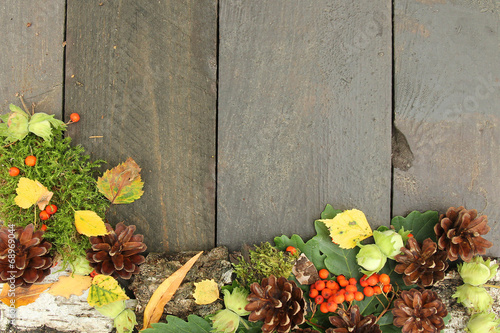 autumn background