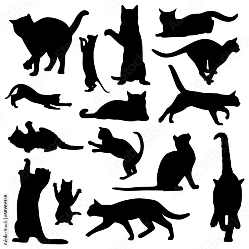 Katzen