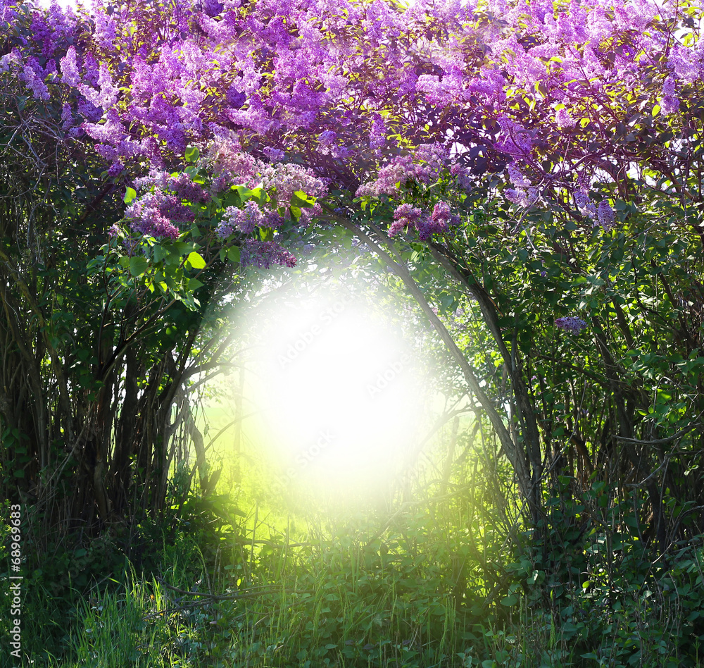 Naklejka premium Magic spring forest landscape