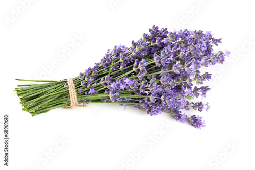 Fototapeta Naklejka Na Ścianę i Meble -  bunch of lavender isolated on white