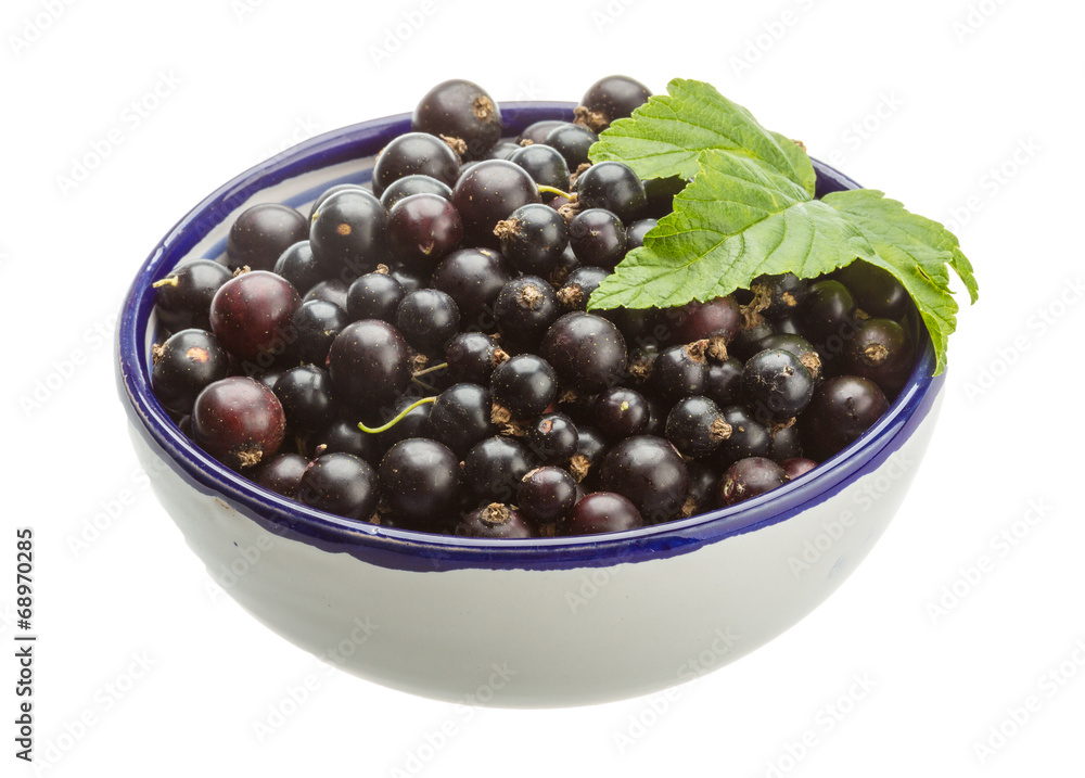 Black currant Black currant