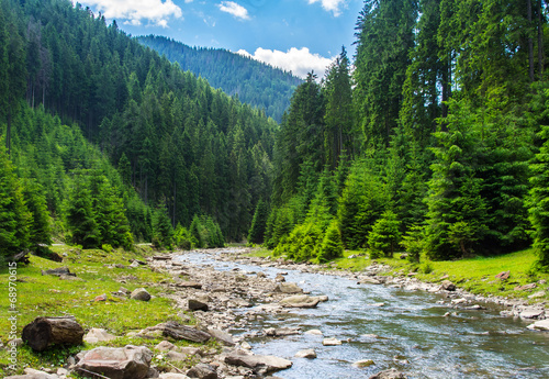 Mountain river in the coniferous forest.