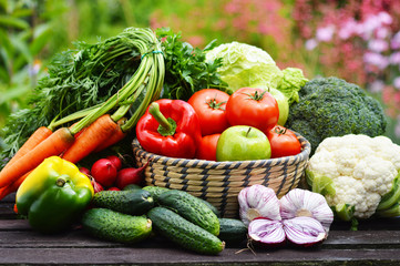 Papier peint photo Légumes Légumes biologiques du jardin potager  © monticellllo