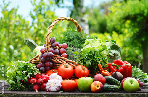 Variety of fresh organic vegetables in the garden