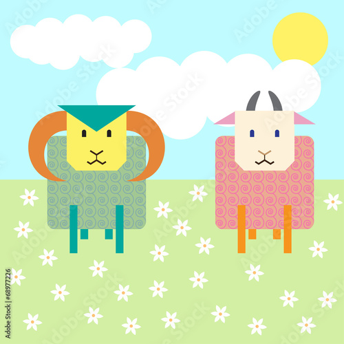 sheep in the field