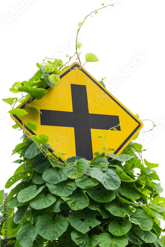 Vine leaves, weeds grew up and choked intersection signs