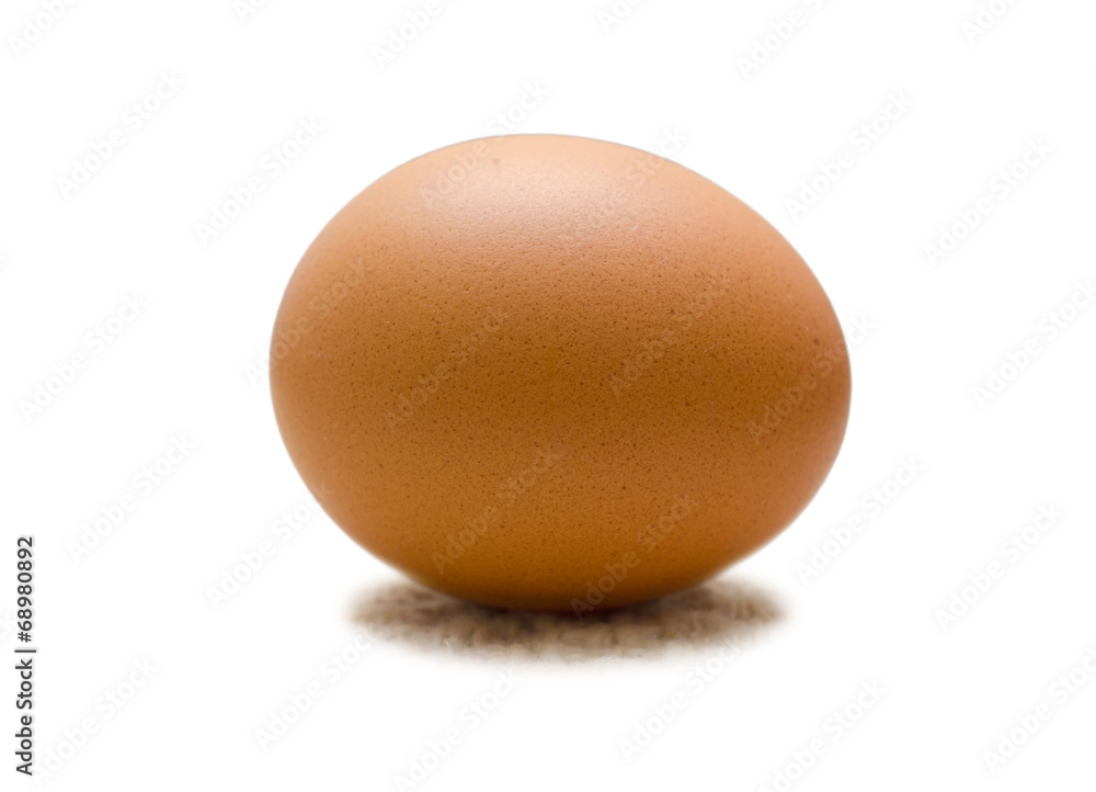 chicken egg isolated on white background chicken egg isolated on white background