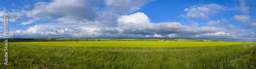 Panoramic View of Field