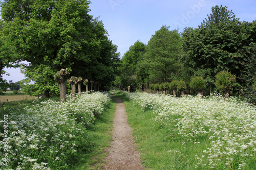 Meadows © Jolanta Mayerberg