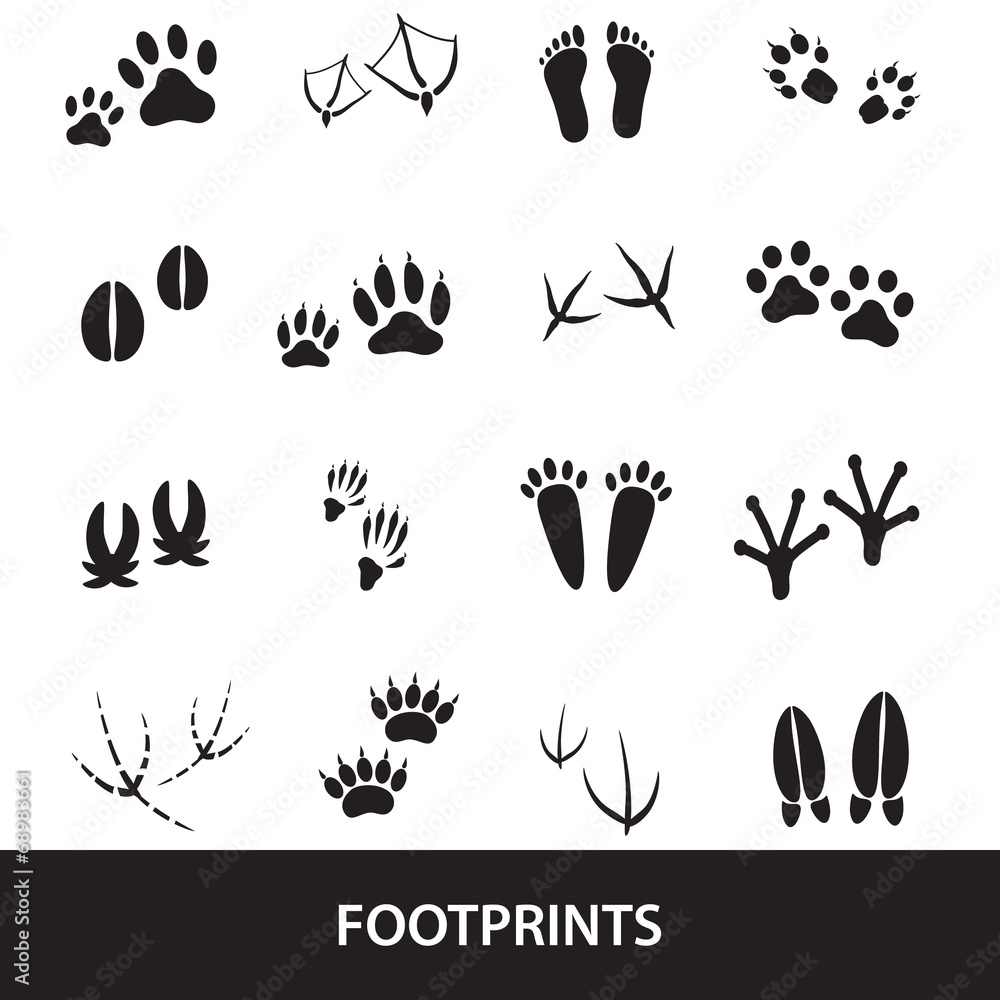 Obraz premium basic animal footprints set eps10