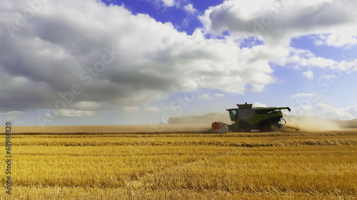 harvest