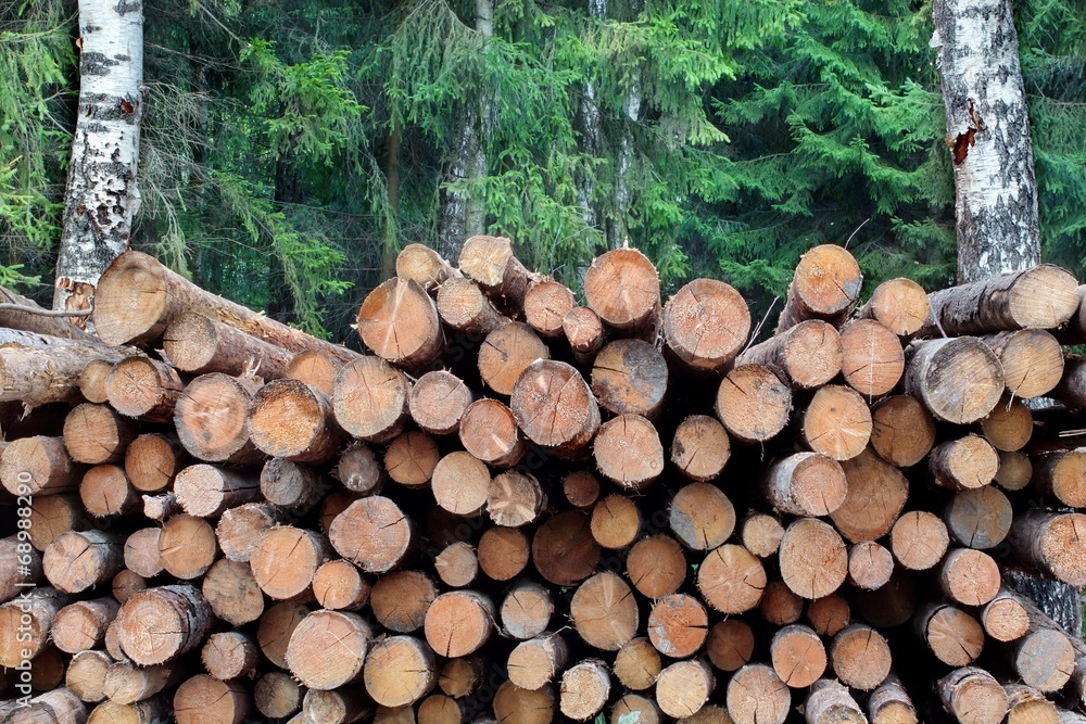 Industrial logging