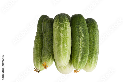 a bunch of freshly picked cucumbers photographed from above isol