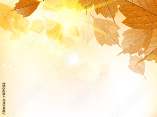 Autumn design background with leaves