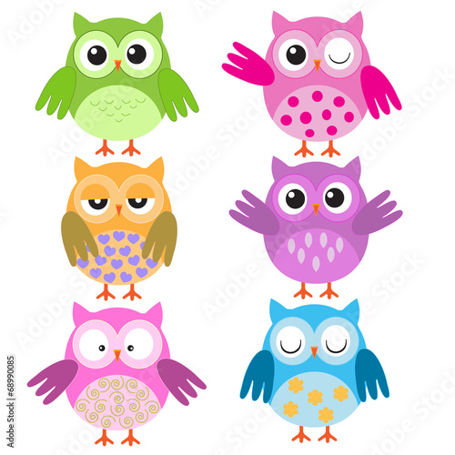 Colorful vector owls