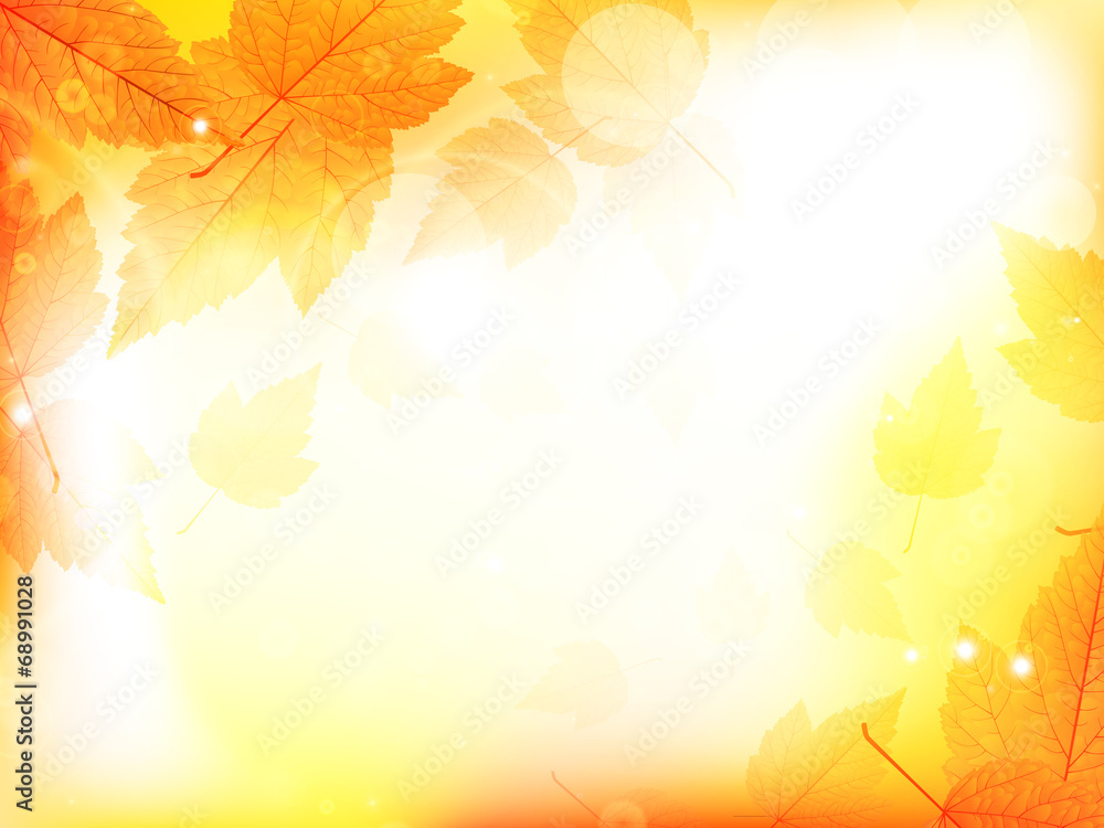 Autumn design background with leaves